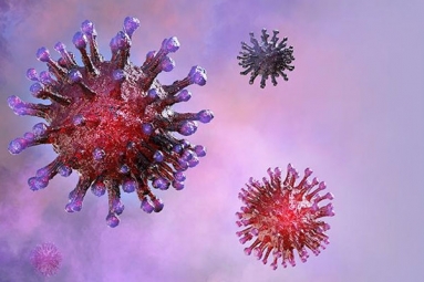 New Coronavirus strain spreading fast among youngsters