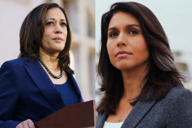 Among 2020 U.S. Presidential Hopefuls, Here Are Two Democratic Women Candidates with Strong Indians Links
