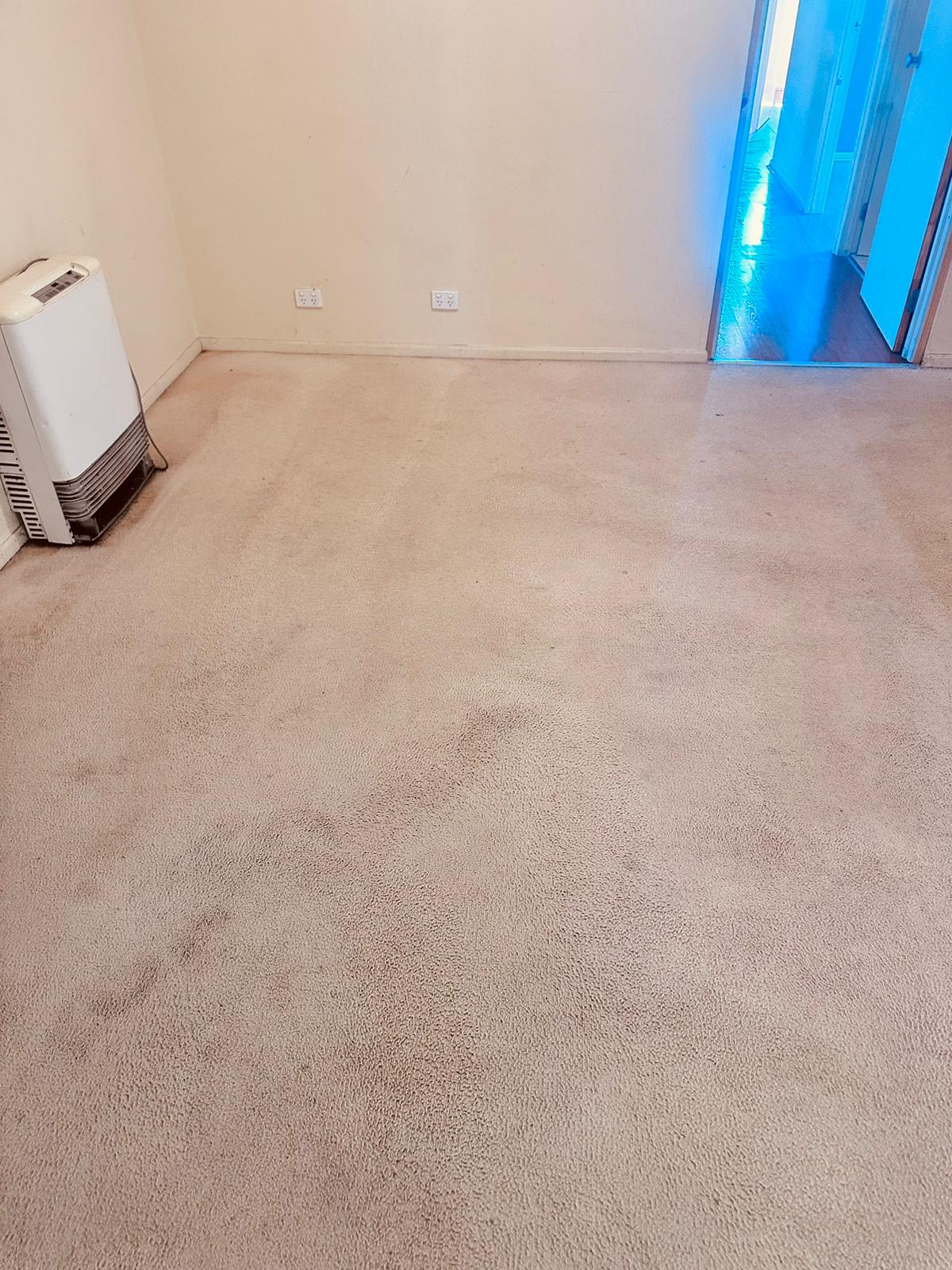 Carpet Dry Cleaning Adelaide Carpet Dry Cleaning Adelaide