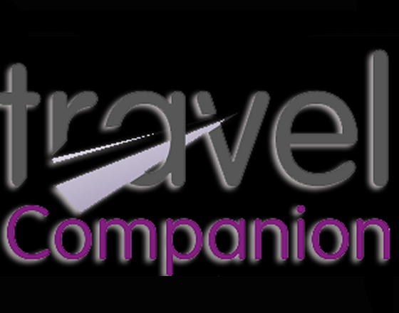 We are looking for a travel companion