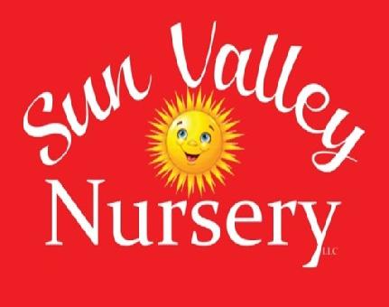 Sun Valley Yard Design
