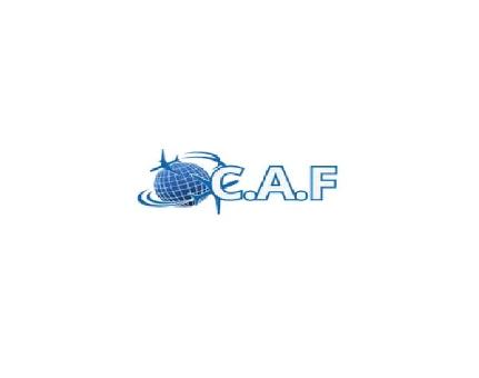 Book Flights with Copaairflight