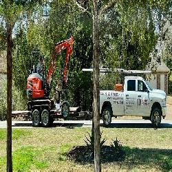 Lumberjack Tree Care