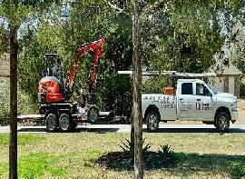 Lumberjack Tree Care