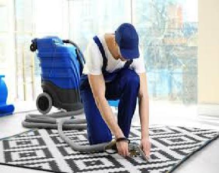 All Carpet Cleaner