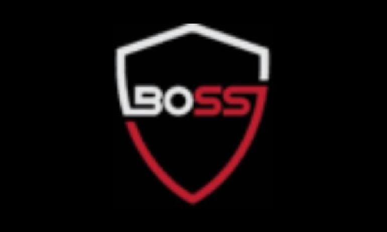 Boss Security Ltd