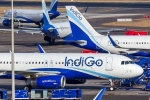 IndiGo Flights latest breaking, IndiGo Flights breaking, 550 indigo flights cancelled on thursday, Indigo ceo IndiGo Flights latest breaking, IndiGo Flights breaking, 550 indigo flights cancelled on thursday, Indigo ceo