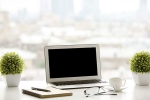 ecology, plants, a plant in your office can help in preventing sick days says experts, Figs