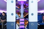 Air New Zealand Bunk Beds latest, Air New Zealand, air new zealand introduces bunk beds in economy flights, New york Air New Zealand Bunk Beds latest, Air New Zealand, air new zealand introduces bunk beds in economy flights, New york
