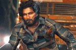 Pushpa news, Sukumar, allu arjun s pushpa first single loading, Jay prakash