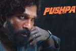 Pushpa release date, Allu Arjun updates, allu arjun charges a bomb for pushpa, Fahad fazil Pushpa release date, Allu Arjun updates, allu arjun charges a bomb for pushpa, Fahad fazil