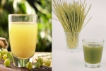 Amla Juice Vs Wheatgrass Juice for liver disease, Amla Juice Vs Wheatgrass Juice, amla juice vs wheatgrass juice for fatty liver, Amla juice
