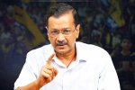 Arvind Kejriwal scam, Arvind Kejriwal, arvind kejriwal to return to tihar jail tomorrow, Lok sabha election results