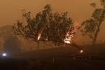 file blazes, rains, australia fires warnings of huge blazes ahead despite raining, Global warming