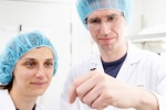 Superflies, Superflies, australian scientists create superflies interesting details, Superflies