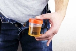 Hidden Kidney Cancer Risks new tips, Hidden Kidney Cancer Risks latest, spotting blood in urine can reveal hidden kidney cancer risks, Hidden kidney cancer risks