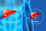 Fatty Liver Disease News, Fatty Liver Disease News breaking, body organs that can be affected by fatty liver disease, Excessive drinking