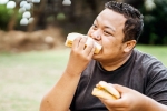 Bread for weightloss breaking, Bread for weightloss benefits, will bread help in weightloss, Pizza Bread for weightloss breaking, Bread for weightloss benefits, will bread help in weightloss, Pizza