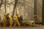 death toll, death toll, california fire mostly contained death toll rises to 84, California fire death toll, death toll, california fire mostly contained death toll rises to 84, California fire