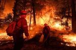 California, California Wildfires, california wildfires damage in 2018 worth over 2 6bn, California fire California, California Wildfires, california wildfires damage in 2018 worth over 2 6bn, California fire