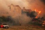 fire, Celebrity Homes, california wildfire kills 9 devastates celebrity homes, California fire fire, Celebrity Homes, california wildfire kills 9 devastates celebrity homes, California fire