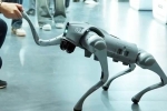 Galgotias University in AI Summit latest, Galgotias University in AI Summit news, chinese robot dog fiasco in ai summit galgotias university asked to vacate, Pam Galgotias University in AI Summit latest, Galgotias University in AI Summit news, chinese robot dog fiasco in ai summit galgotias university asked to vacate, Pam