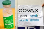 Covishield news, Covishield and COVAX, sii to resume covishield supply to covax, Exports