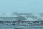 Cyclone Montha deaths, Cyclone Montha impact, cyclone montha creates havoc in coastal andhra pradesh, Landslides Cyclone Montha deaths, Cyclone Montha impact, cyclone montha creates havoc in coastal andhra pradesh, Landslides