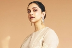 Deepika Padukone upcoming, Deepika Padukone about Indian cinema, deepika padukone calls indian cinema disorganized, Sandeep reddy vanga