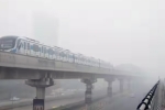 Delhi Air Quality latest breaking, Delhi Air Quality 2024, delhi air remains toxic schools go online, Go indigo