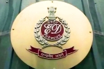 Delhi Liquor Scam Case breaking, Arvind Kejriwal, ed chargesheet in delhi liquor scam case, Kaushik