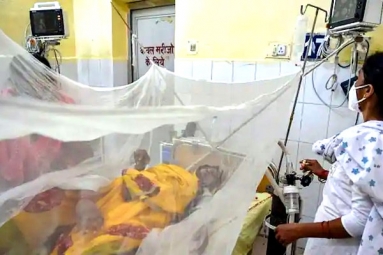 Centre Rushes Teams To 9 States After Dengue Outbreak