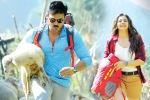 Ramcharan news, Rakul Preet Singh, dhruva turns first million dollar film for charan, Usa market Ramcharan news, Rakul Preet Singh, dhruva turns first million dollar film for charan, Usa market