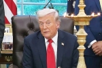 Narendra Modi, Donald Trump and Modi latest, donald trump speaks to narendra modi on diwali, Tulsi gabbard Narendra Modi, Donald Trump and Modi latest, donald trump speaks to narendra modi on diwali, Tulsi gabbard
