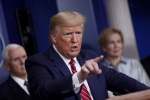 democrat, democrat, donald trump s ban on who funding could get him impeached, Nancy pelosi