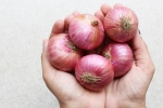 Raw Onions, Raw Onions good or bad, possible side effects of eating raw onions, Raw onions Raw Onions, Raw Onions good or bad, possible side effects of eating raw onions, Raw onions