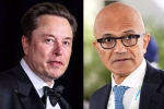 Elon Musk Vs Satya Nadella updates, Elon Musk Vs Satya Nadella breaking, elon musk s warning to satya nadella after gpt 5 launch, Copilot