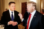 Elon Musk for Donald Trump, Elon Musk news, elon musk donates for donald trump s campaign, Electric cars