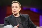Elon Musk breaking updates, Elon Musk breaking news, elon musk to buy twitter for 44 billion usd, Donald trump