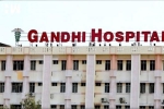 Hyderabad hospital, Hyderabad hospital, families of 50 patients in hyderabad refuse to take them back home after recovering from covid, Gandhi hospital