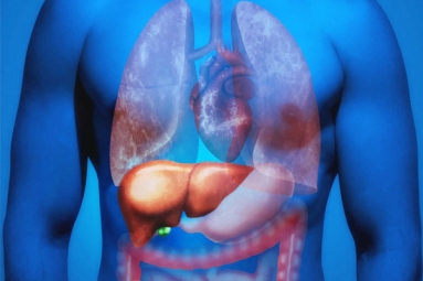 Why is Fatty Liver Affecting Youngsters? Why is Fatty Liver Affecting Youngsters?