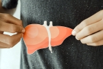 Fatty Liver experts, Fatty Liver latest breaking, fatty liver an alarming rise among children, Healthy food Fatty Liver experts, Fatty Liver latest breaking, fatty liver an alarming rise among children, Healthy food