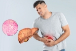 Fatty Liver health tips, Fatty Liver health, fatty liver can be reversed in just one month, Routine