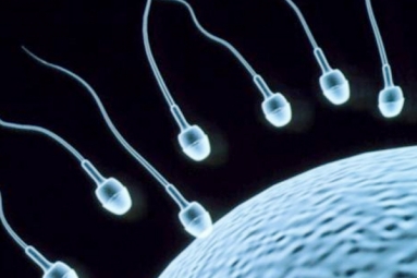 8 Super Foods To Improve Sperm Count