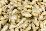 Ginger for Lung Health news, Ginger health benefits, how can ginger help in lung health, Ginger tea