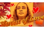 Maryland Current Events, Maryland Current Events, harvest of love 2020, Accompaniment