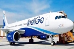 IndiGo flight Ethiopia Volcano latest, IndiGo flight Ethiopia Volcano latest, indigo flight diverted as ethiopia volcano erupts after 10 000 years, Hayli gubbi volcano