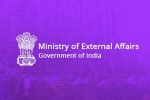 mea statement, mea seven points, india s response to pakistan prime minister imran khan s statement, Hafeez