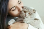 Cat Owner, International Cat Day, international cat day reasons why being a cat owner is good for health, Cat owner