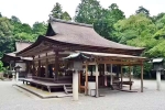Japan Viral Mikami Shrine latest breaking, Japan Viral Mikami Shrine viral, why are travellers flocking to japan s viral mikami shrine, Hair loss